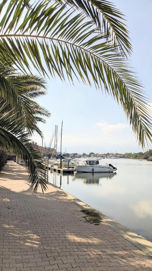 Standing T3Bis Presqu'Ile De La Lagune - Piscine - Mer & Nature Saint-Cyprien  Exterior photo