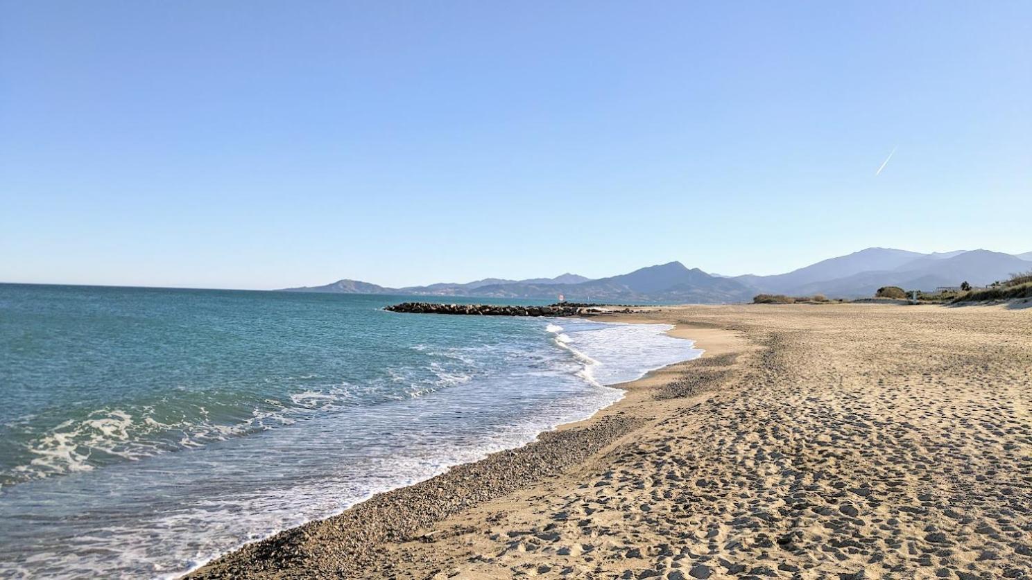 Standing T3Bis Presqu'Ile De La Lagune - Piscine - Mer & Nature Saint-Cyprien  Exterior photo